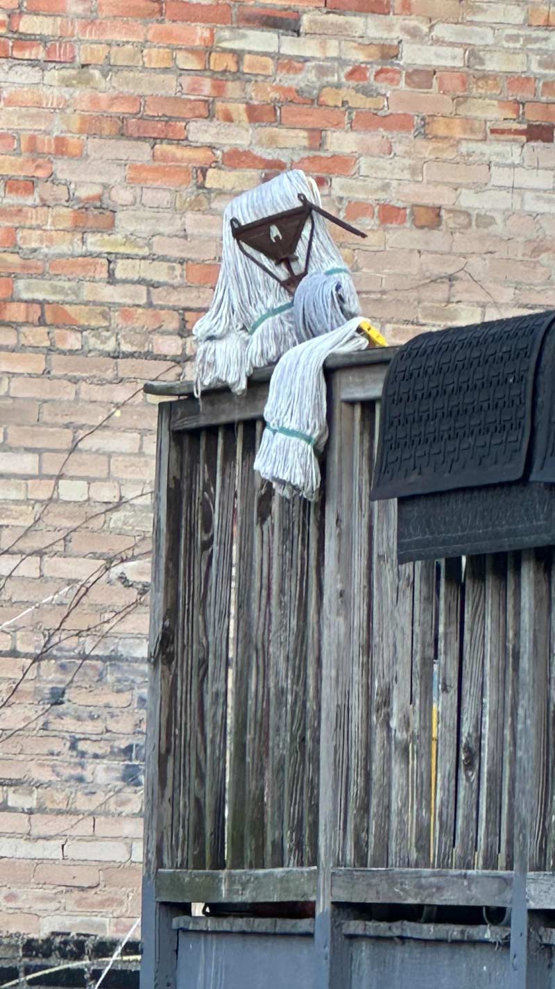 This mop chillin' on the fence