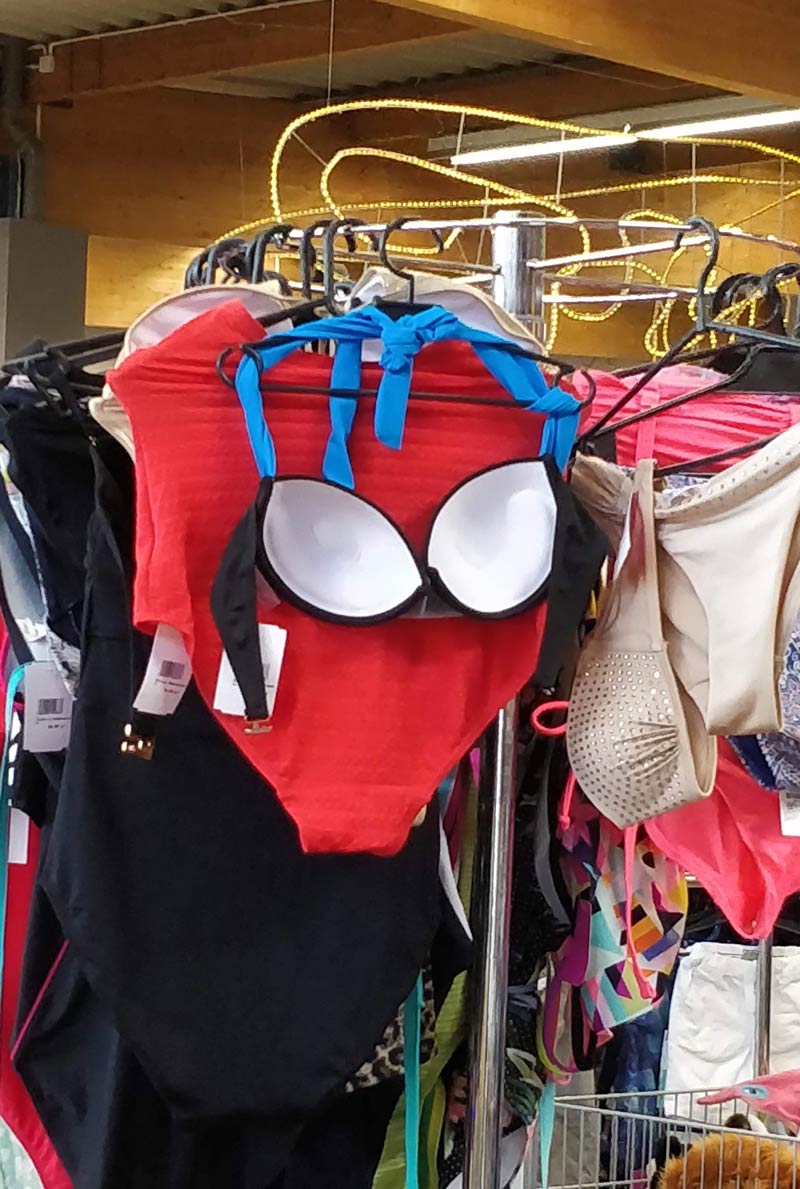 Spider-Man found at a thrift store