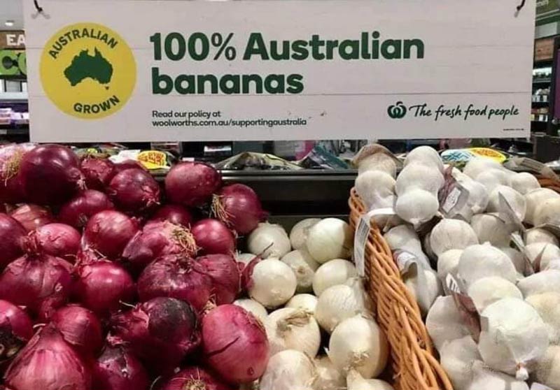 Australian bananas