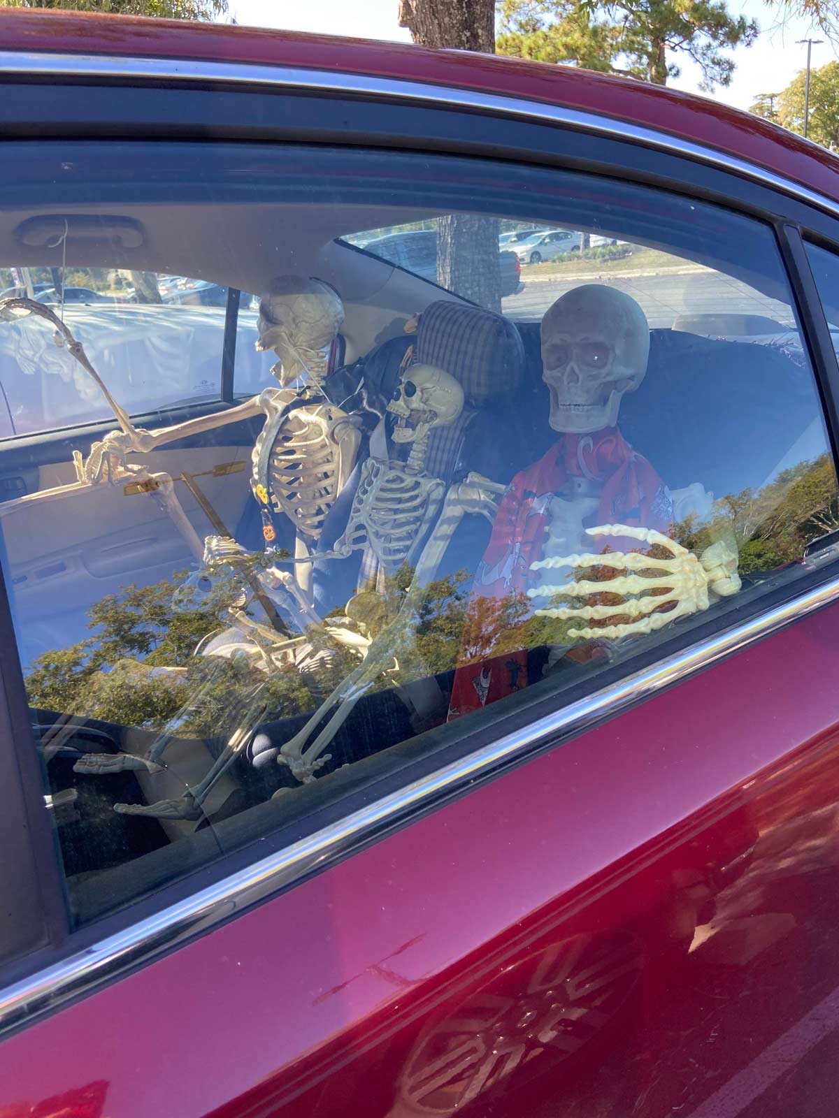 How my coworker decorated her car for Halloween