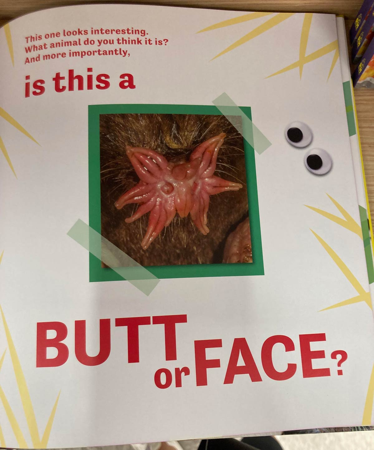 Children’s books are getting wild out here