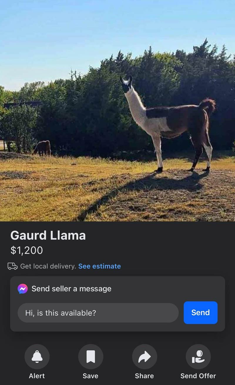 All of a sudden I’m in the market for a Guard Llama