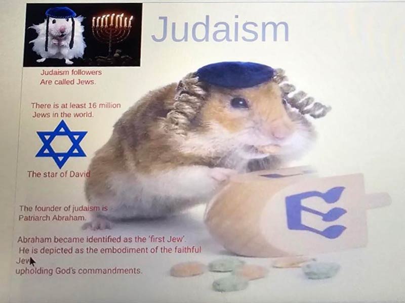 My Nieces history project. She’s obsessed with hamsters. She asked her teachers if she could use hamsters. She was told she could if they were Jewish. This was the result