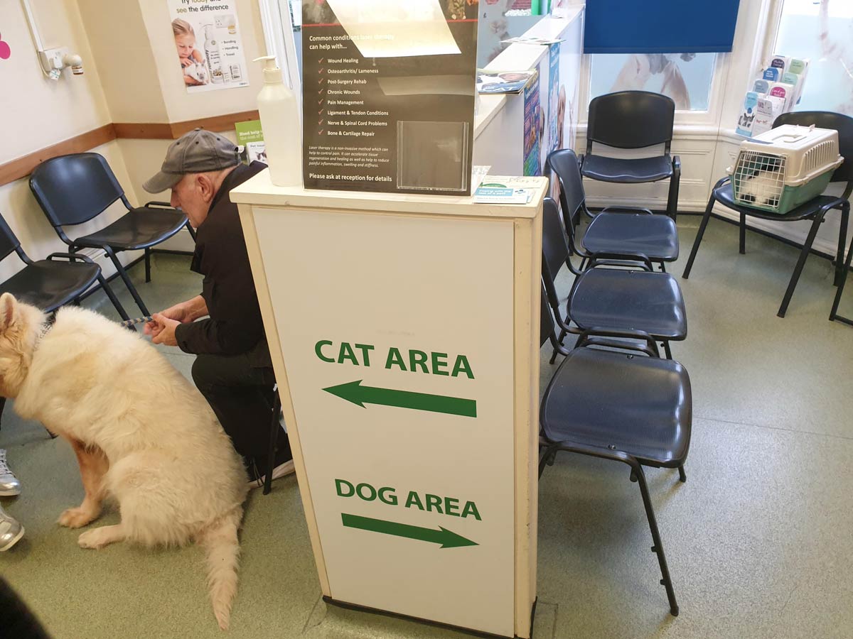 Total anarchy at the vets today