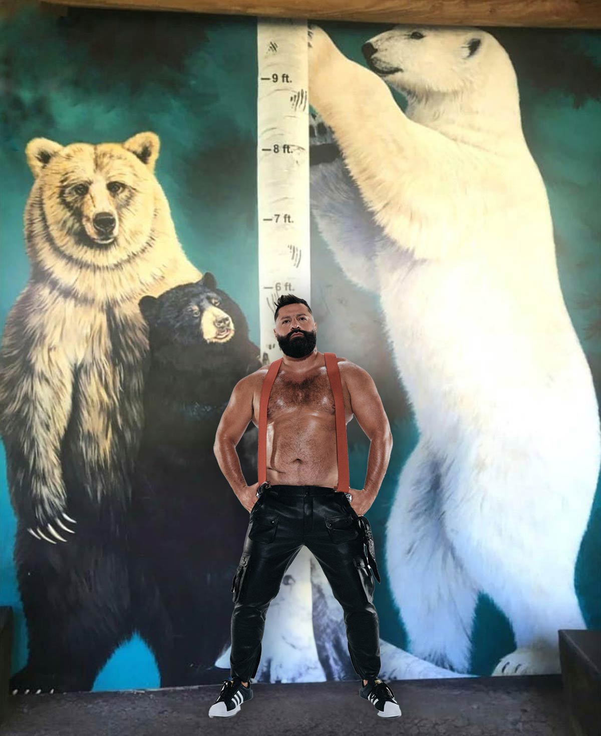 Comparison of the heights of different types of bears