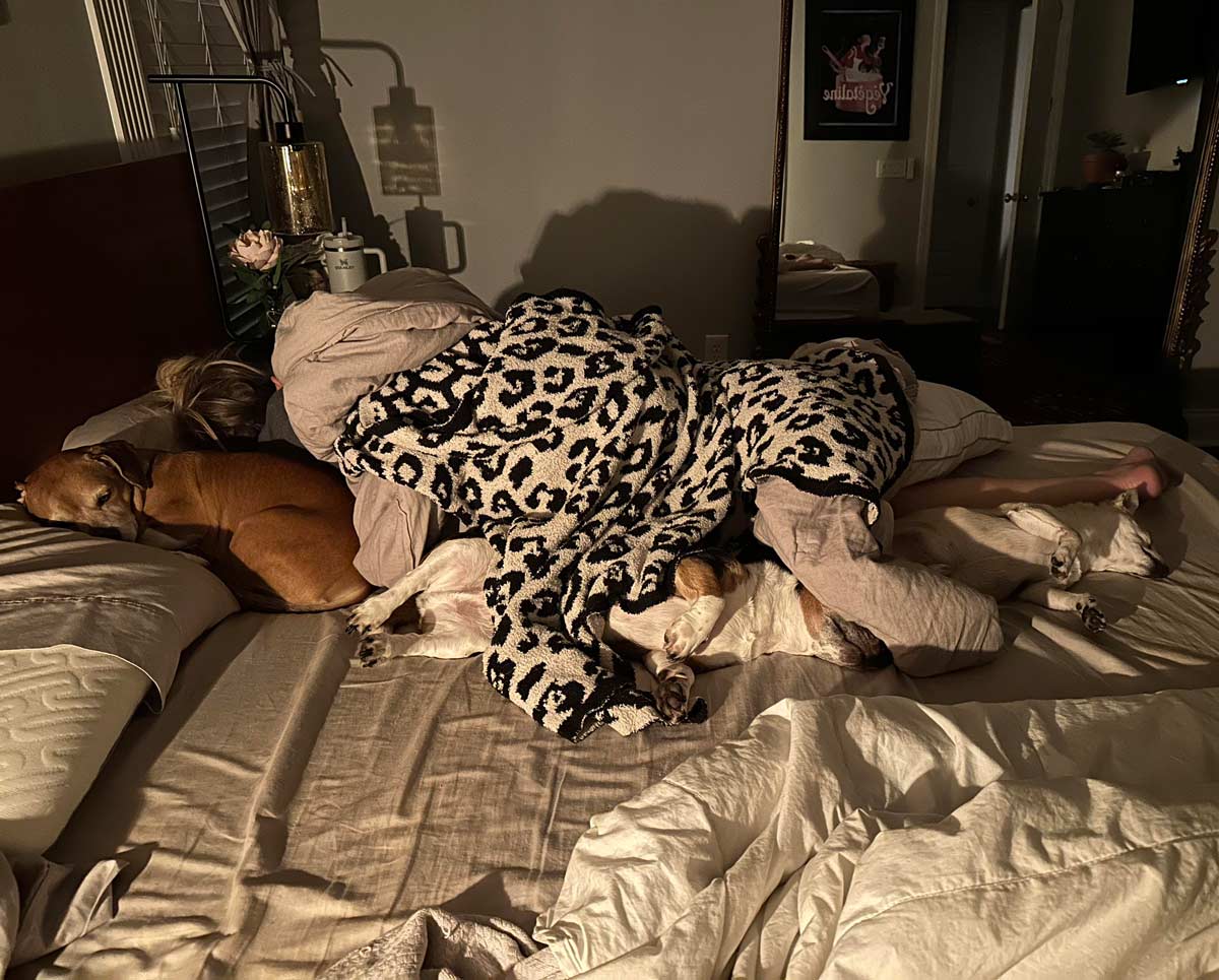 My wife and dogs sleeping in a chaotic pile