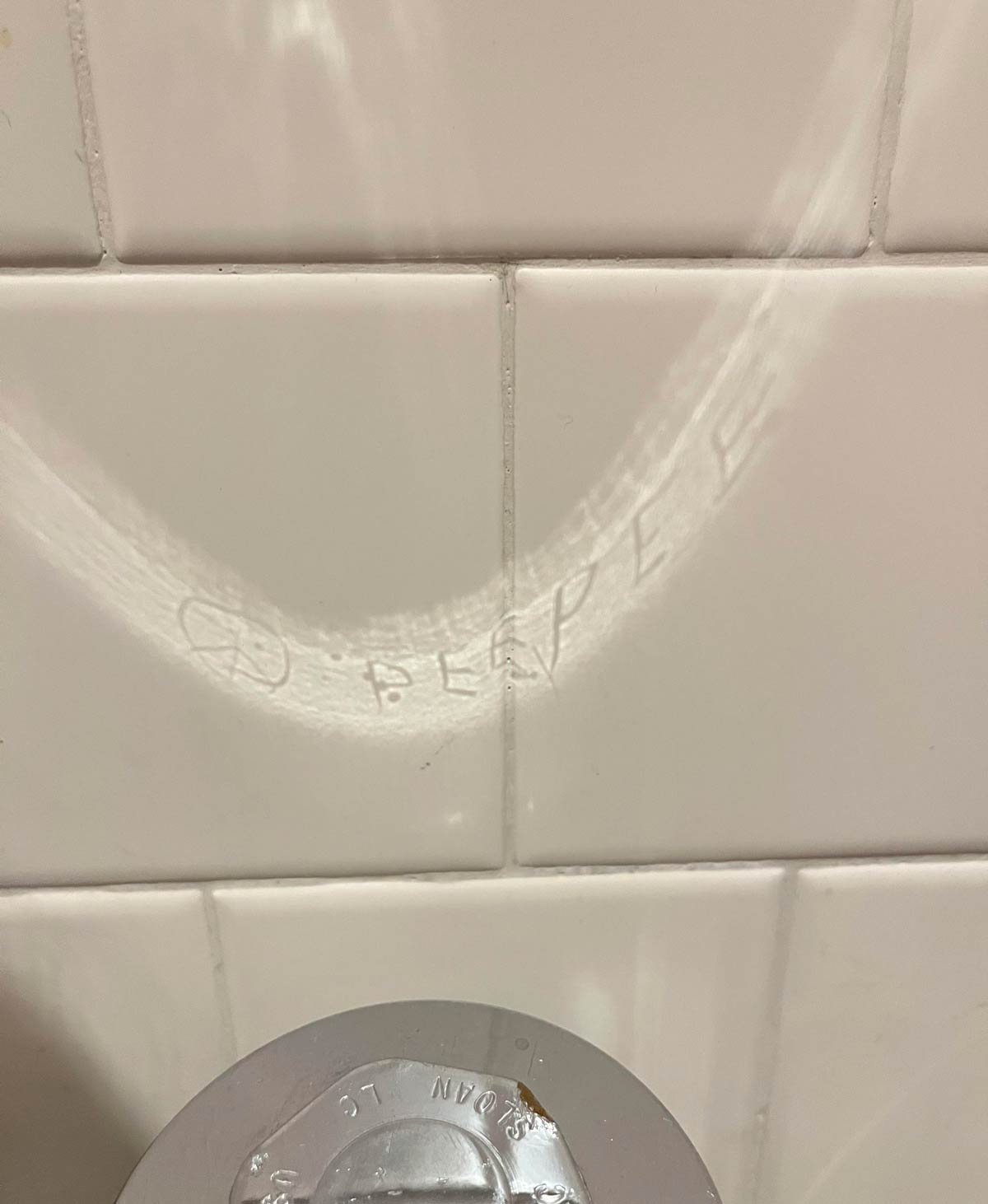 Someone engraved “peepee” backwards on this urinal so when the light hits it it projects “peepee” on the wall!