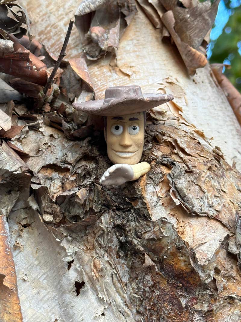 My dad put this toy Woody in our tree 10 years ago. Here's what he looked like right before I moved out