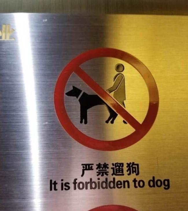 Don't Dog!