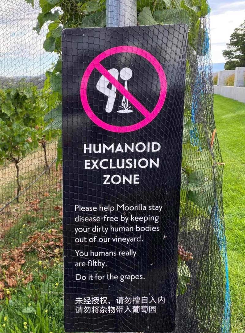 Australian vineyards take biosecurity very seriously