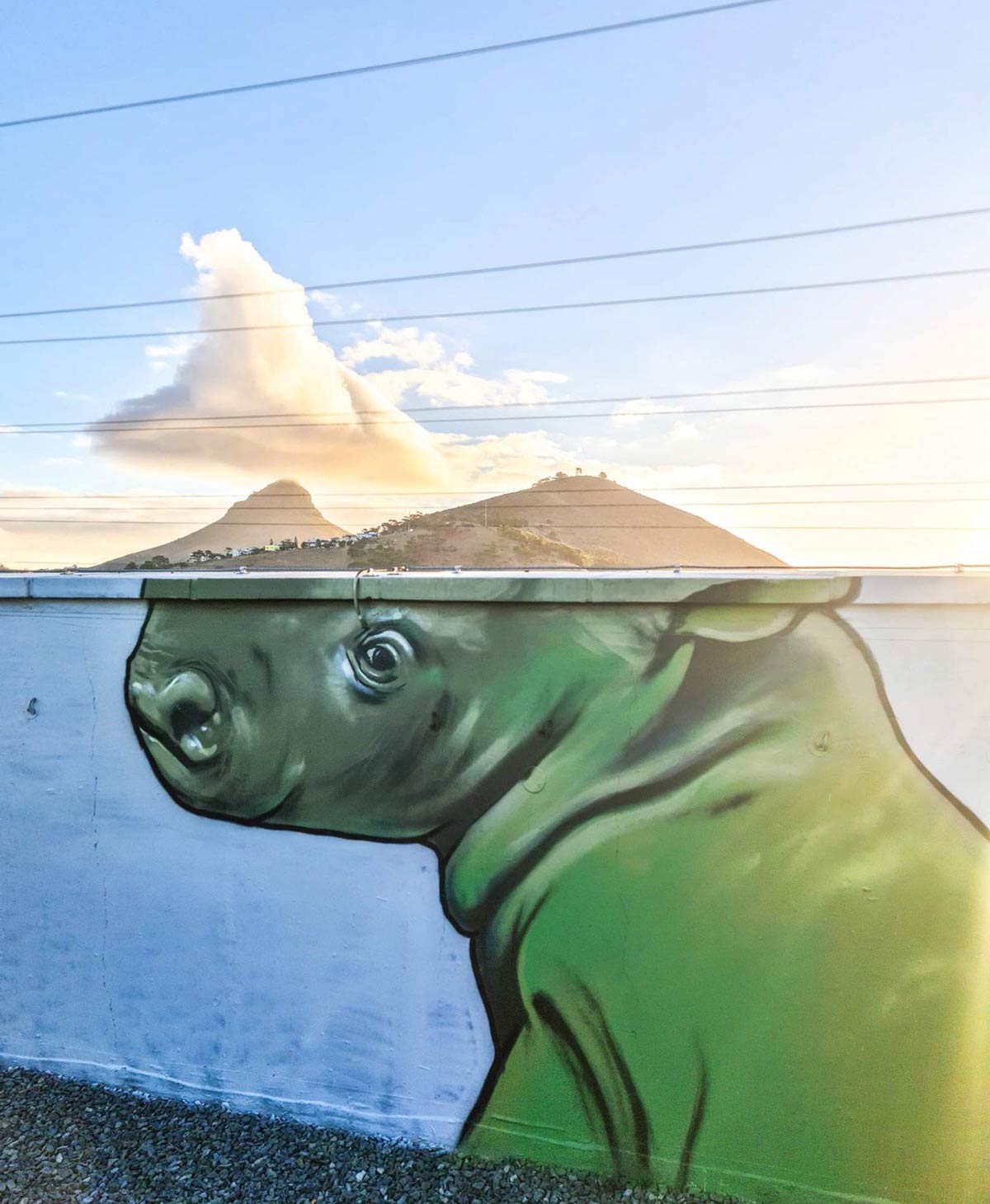 Street Art Rhino