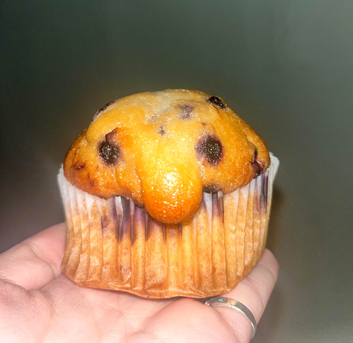 My blueberry muffin looks like a blobfish