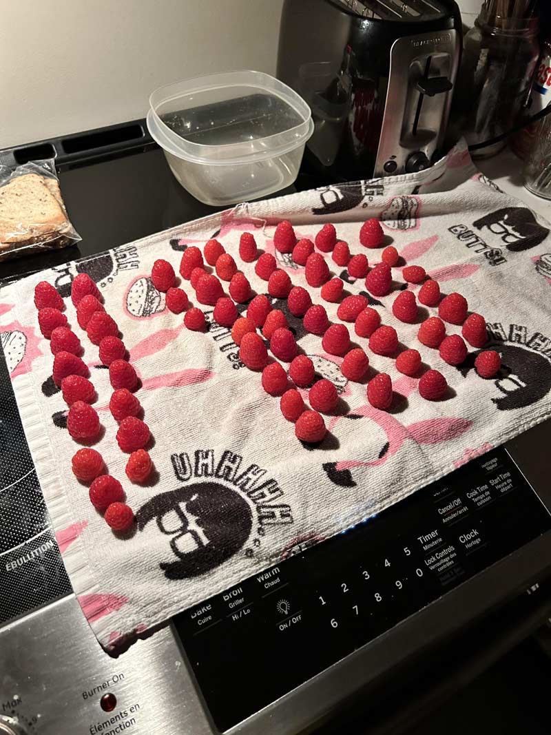The way my boyfriend dries each raspberry