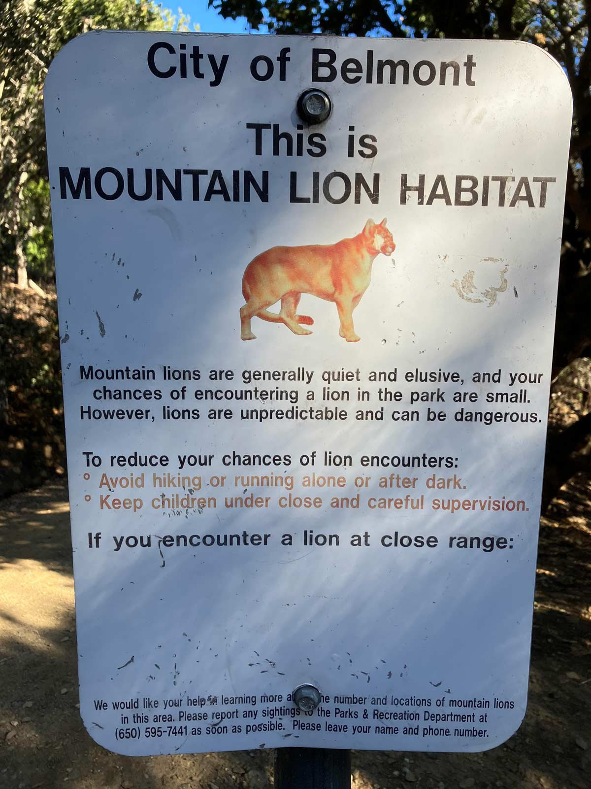 If you encounter a lion at close range