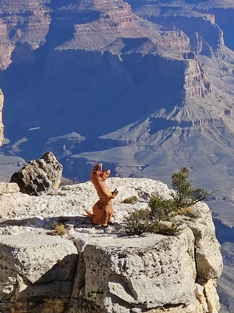 Sometimes you go to the grand canyon and see an extinct species... on a cliff