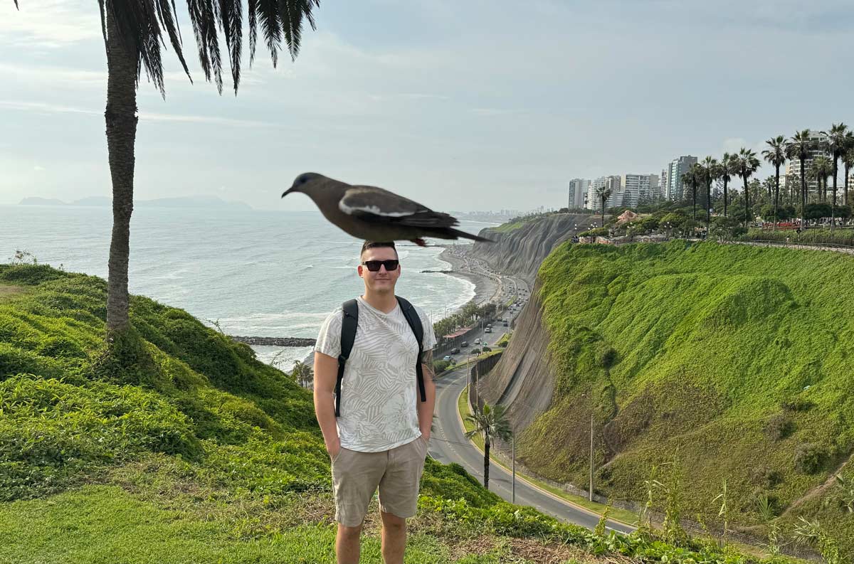 Bird flew by during a picture. It looks like a giant bird landed on my head