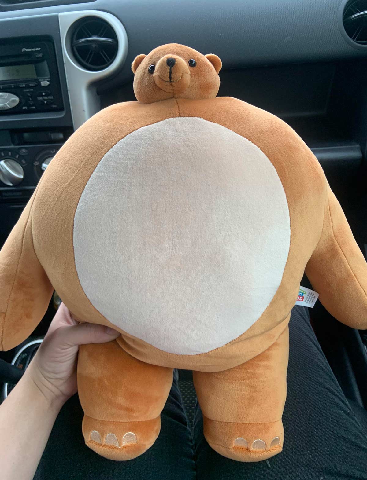The stuffed bear I got today