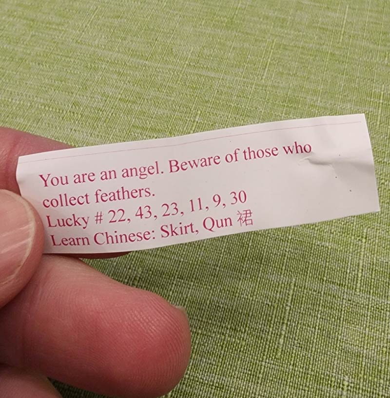 This vaguely threatening fortune cookie I received
