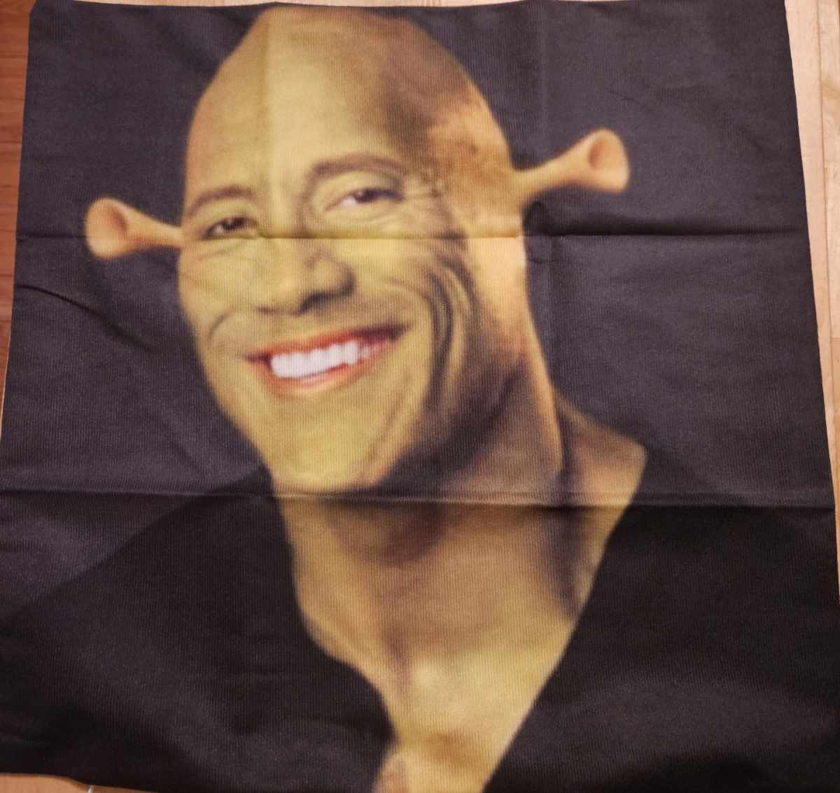 My wife ordered a Squidward wall hanging for her sister but was sent this pillow case instead!