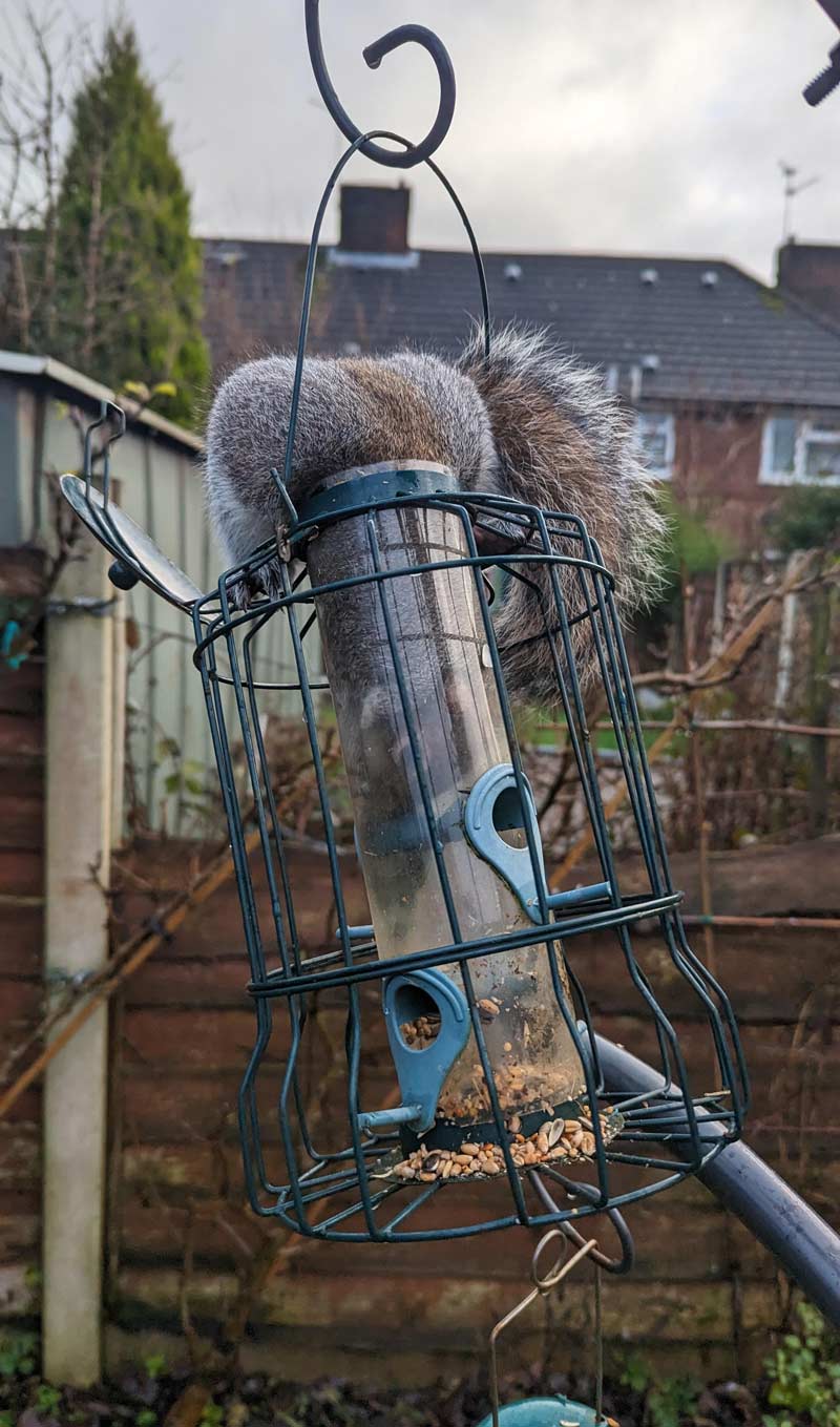 Squirrel Proof Feeder
