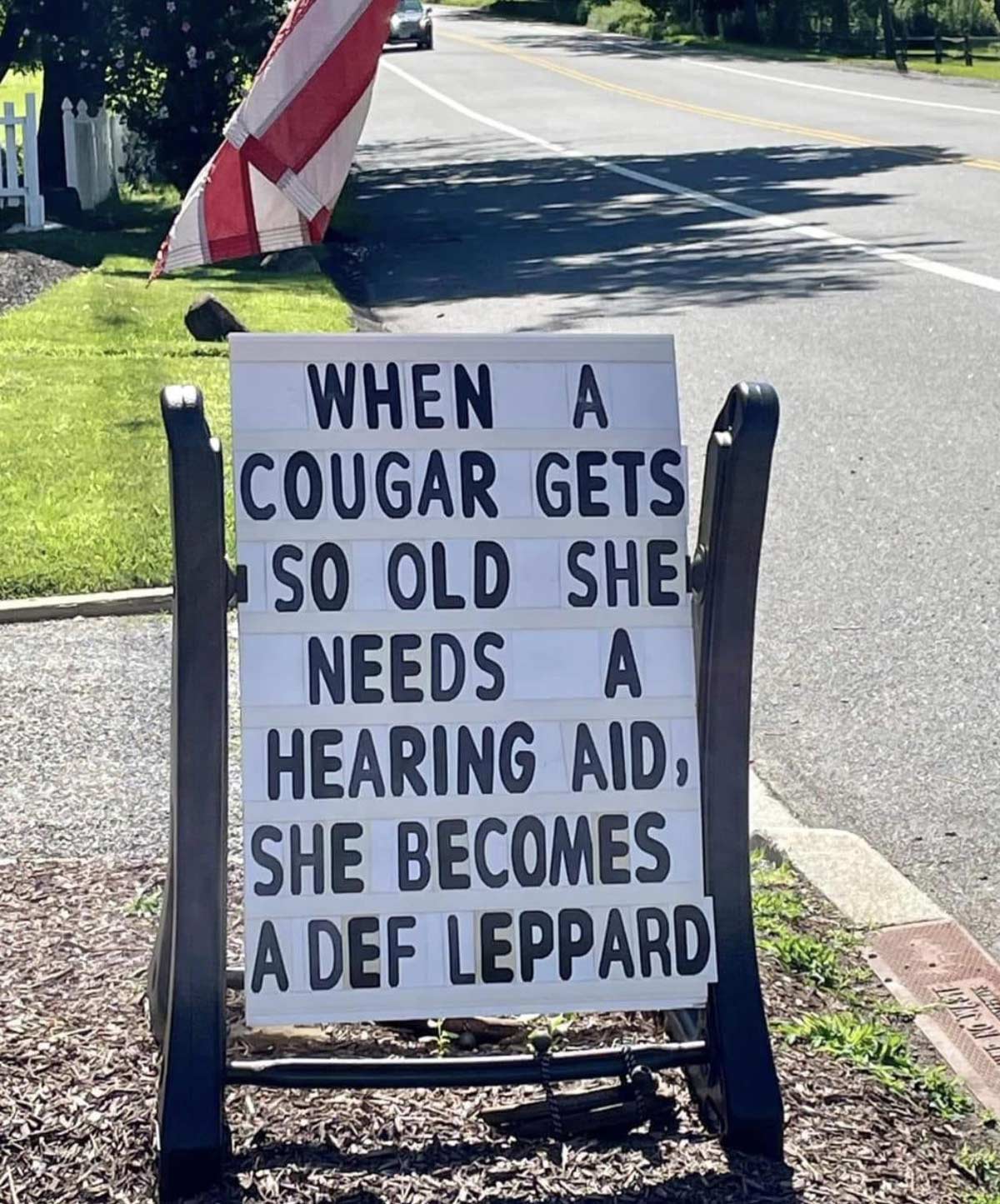 When a cougar gets so old