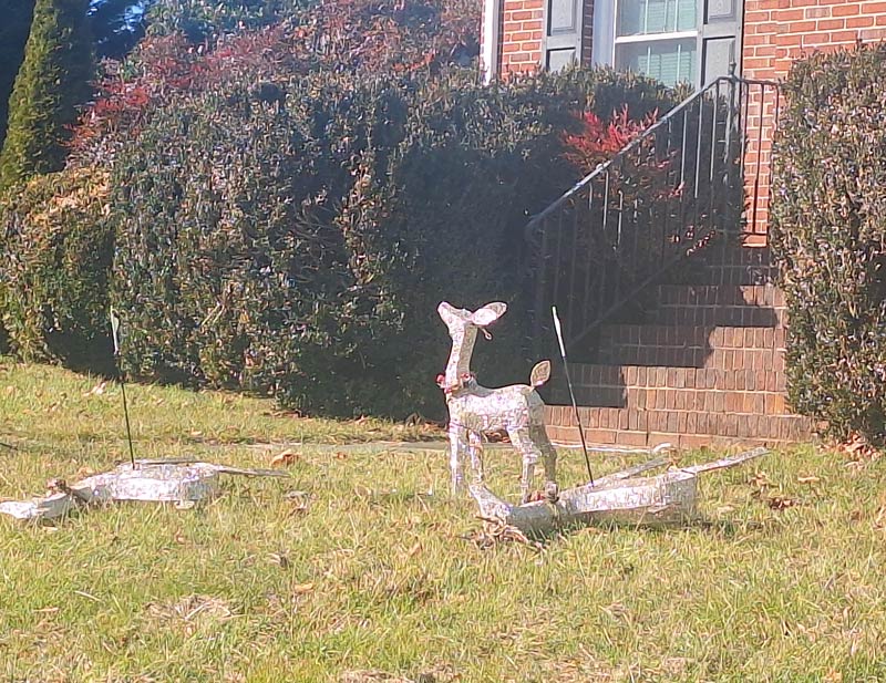Neighbors got fed up with the wind blowing over their reindeer decorations