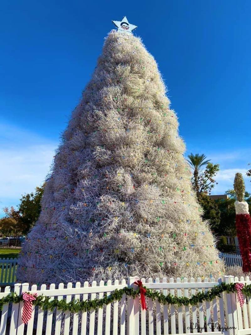 My city has a Christmas tree made out of tumbleweeds
