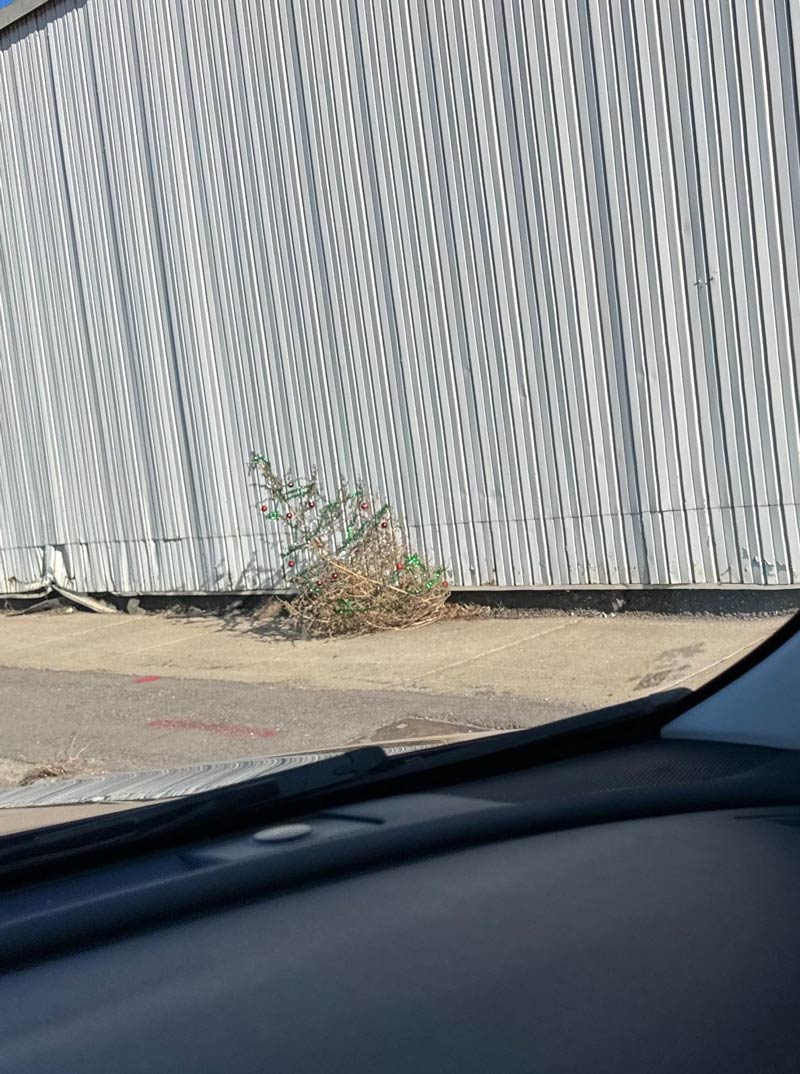 Someone decorated the tumbleweed on the side of the street