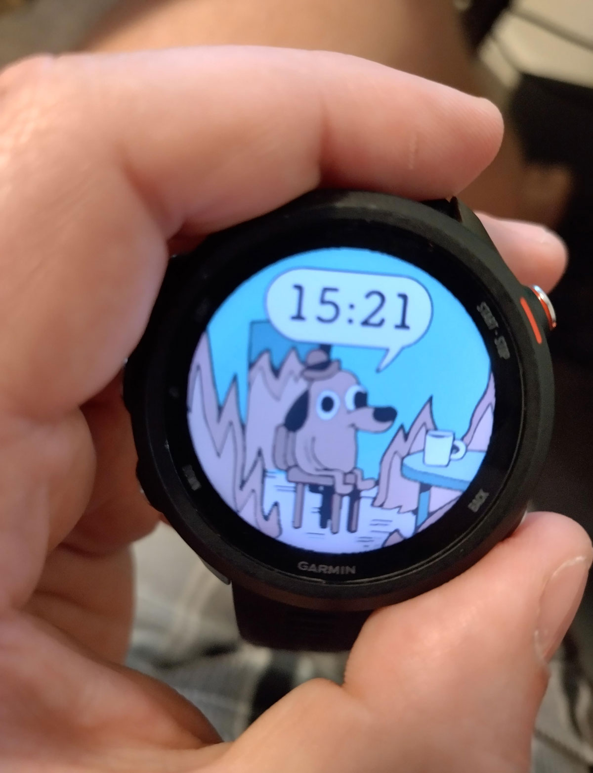 Found a perfect watch face for the Australian summer