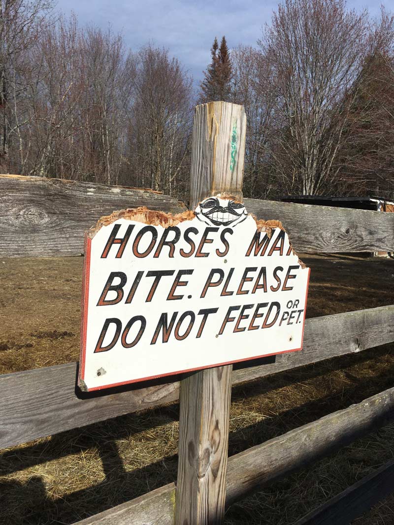 Horses may bite