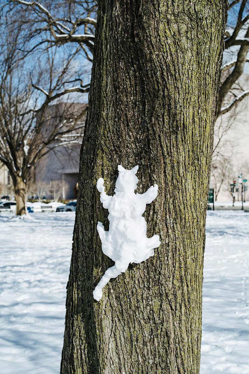 Someone made a frozen squirrel
