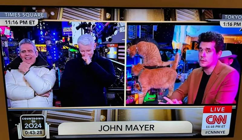 John Mayer calls in to CNN’s New Year’s Eve broadcast from a cat cafe and bar in Tokyo