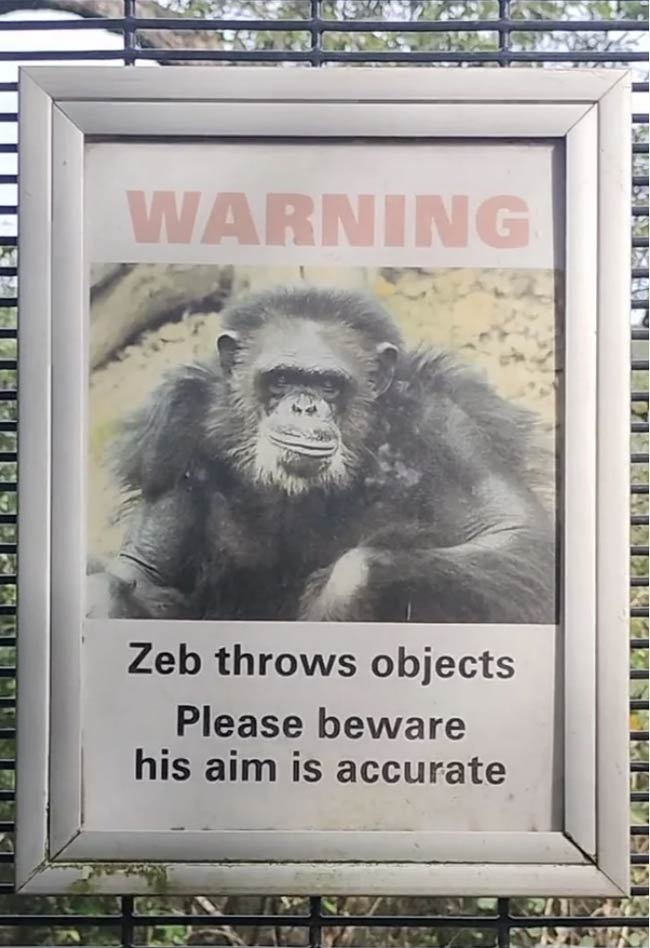 Beware of Zeb
