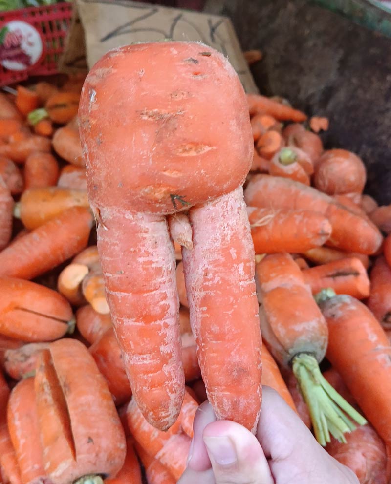A cute carrot that I found