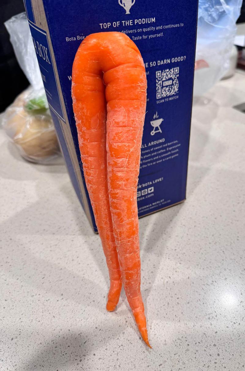 Found this voluptuous carrot at the grocery store