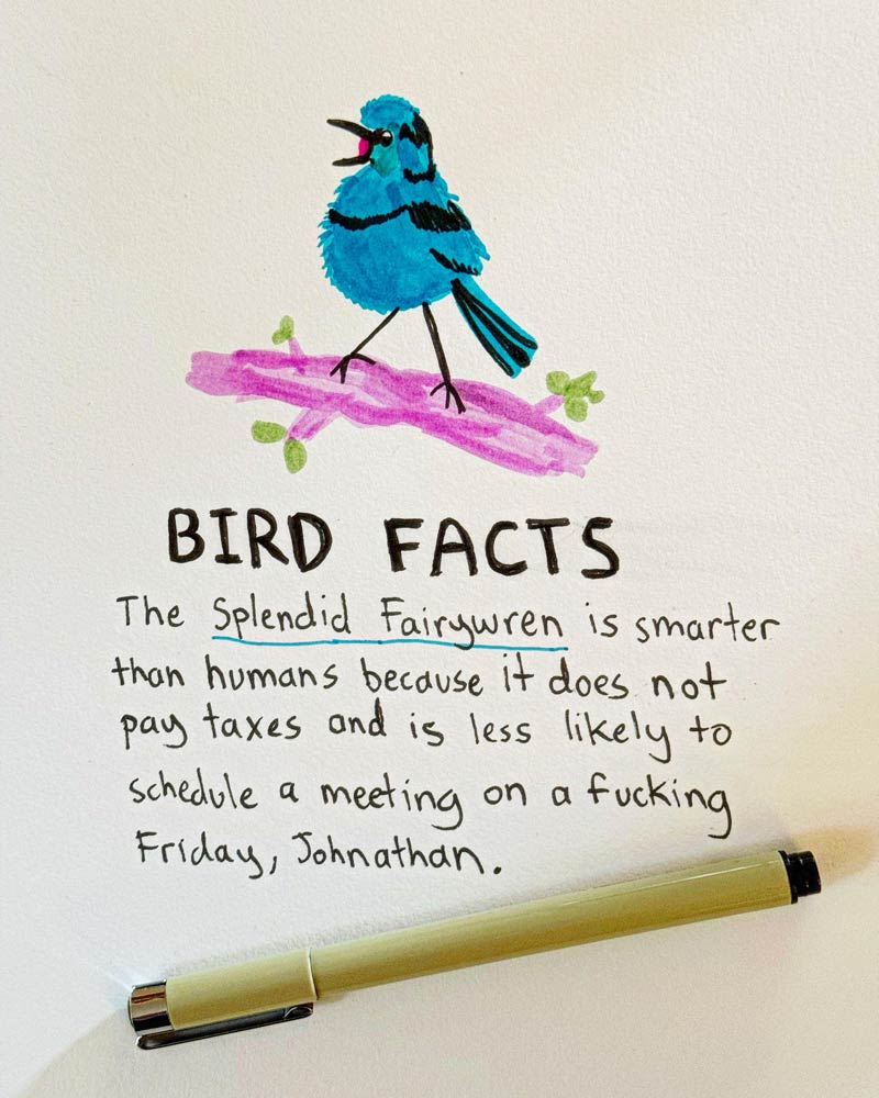Bird Facts