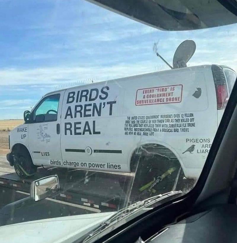 Bird's Aren't Real