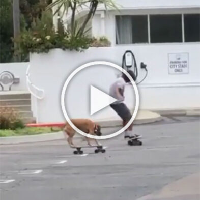 Guy Skateboarding With His Dog