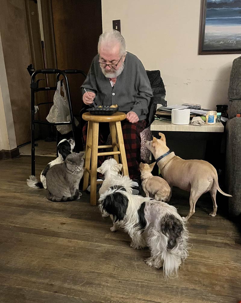 My dad who doesn’t feed the dogs