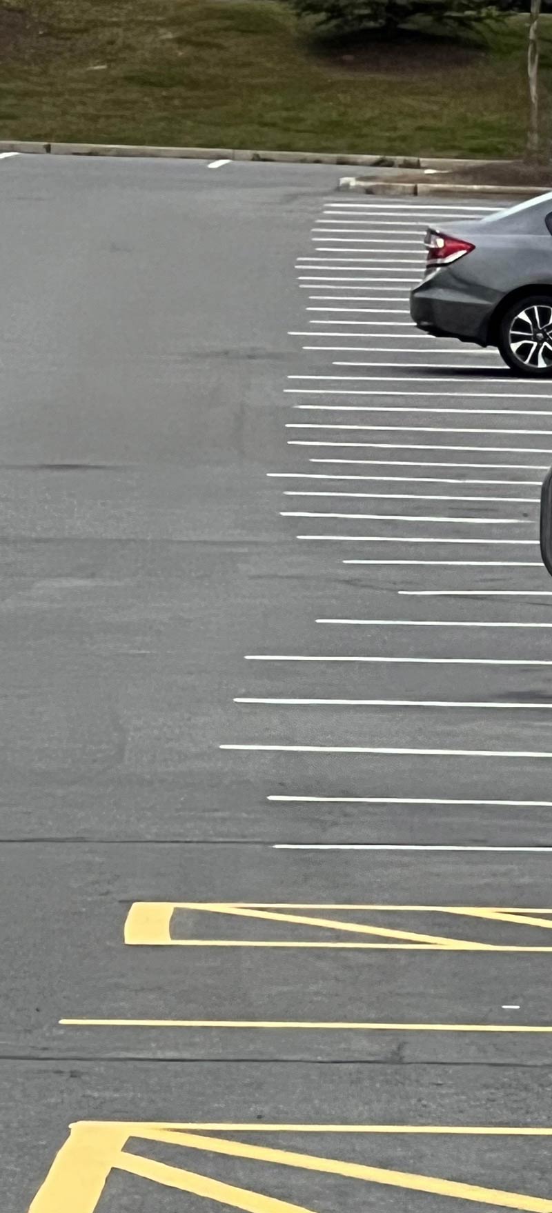 Painted the lines boss