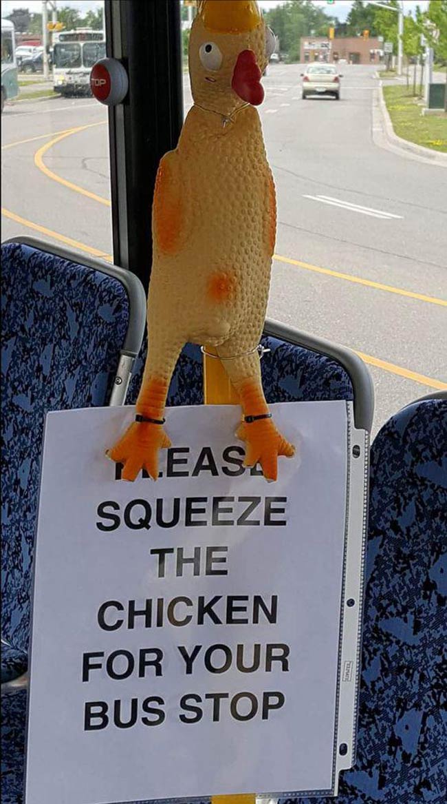 Squeeze the chicken