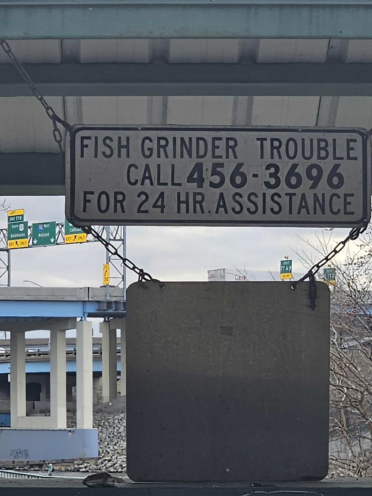 I live in an area with so many gay fish that they have a hotline