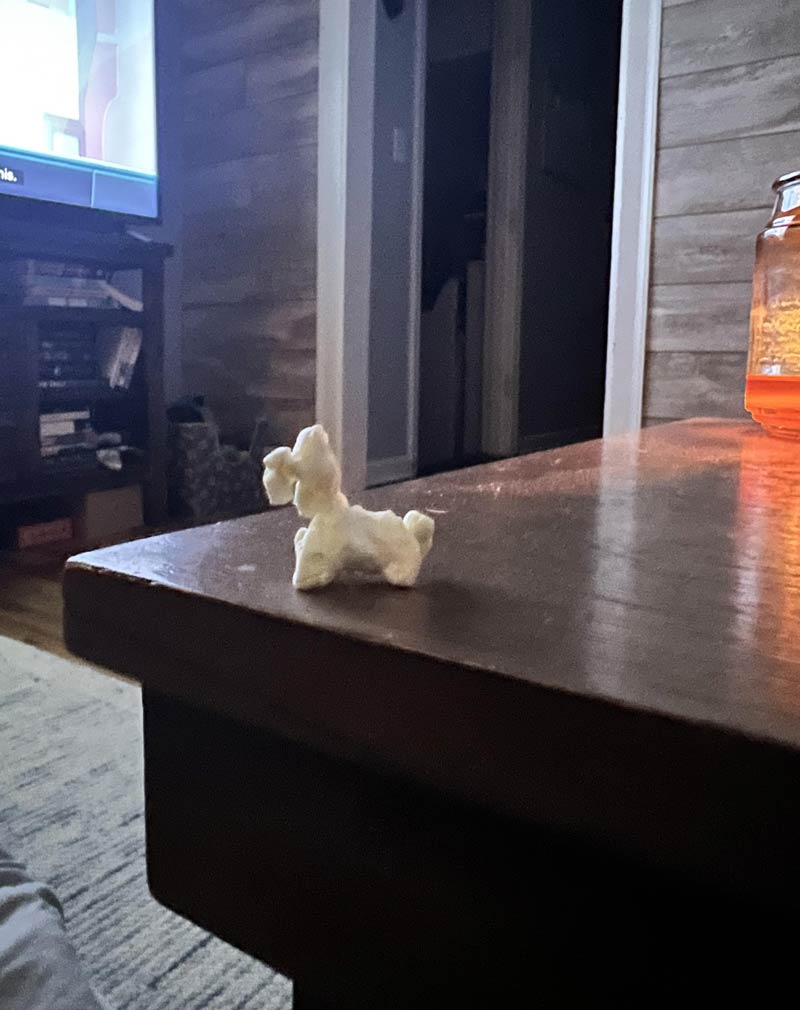 My wife found a piece of popcorn that looks like a dog