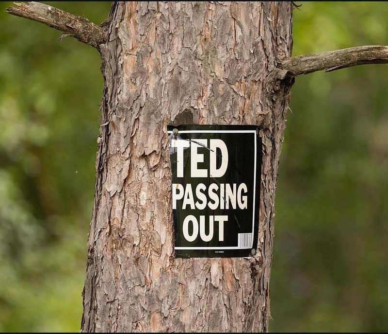 Does anyone know if Ted is ok?