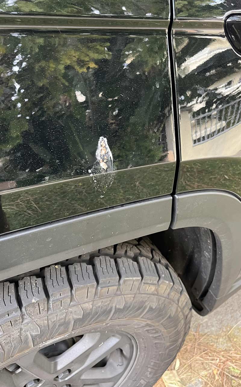 Bird poop on my car looks like the Virgin Mary