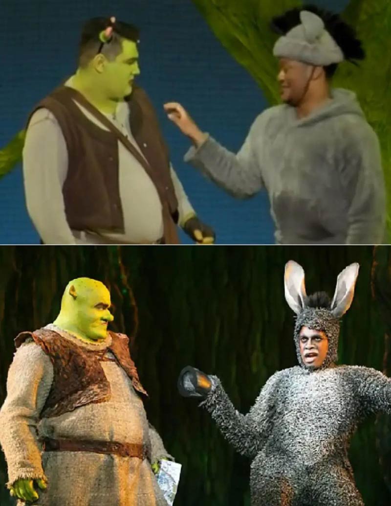 I saw the new “Broadway” national tour of the musical Shrek. I paid a Broadway ticket price. The photo on the bottom is what I expected. The photo on the top is what I got