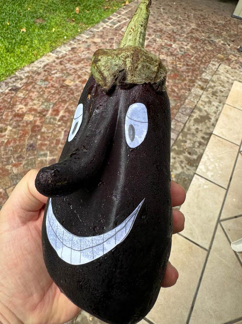 My dad bought this eggplant to draw a face on it
