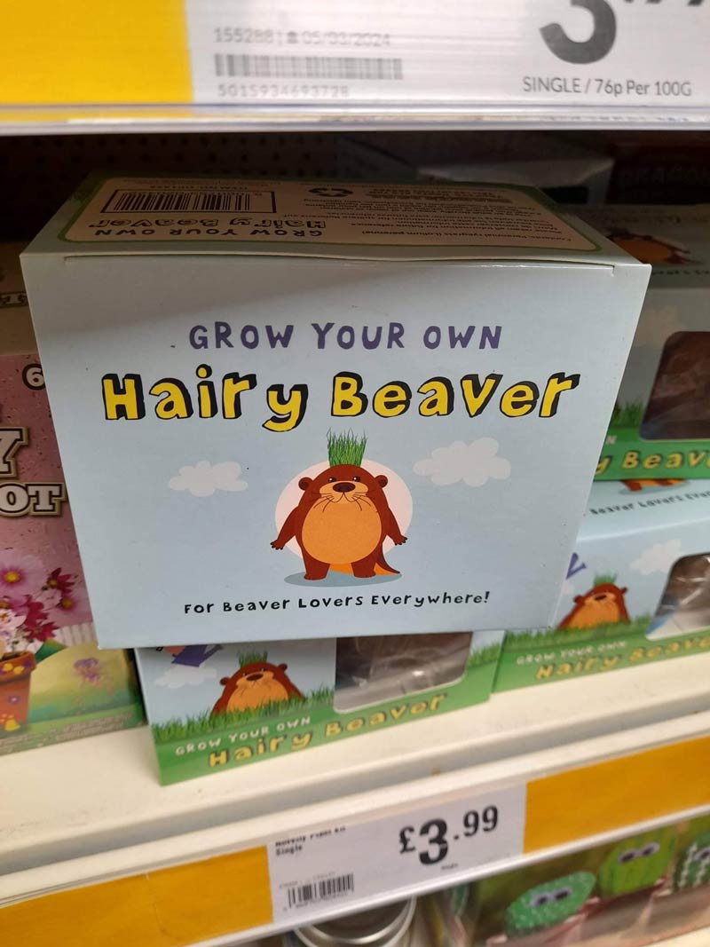 Hairy Beaver anyone?