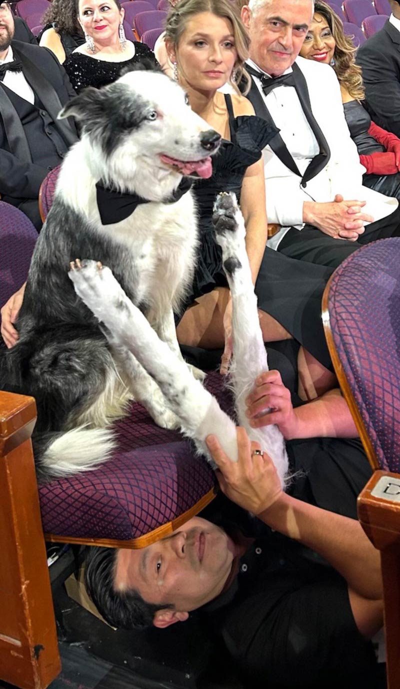 Messi the dog and his clapping paws at the Academy Awards