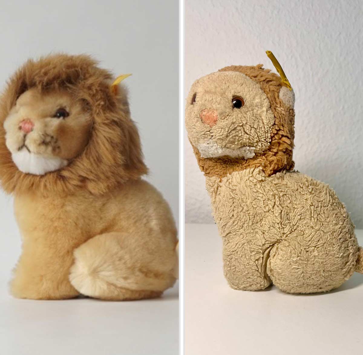 Aging of a Stuffed Animal Lion after 30 years. I cut its fur when I was 4 thinking it would grow back